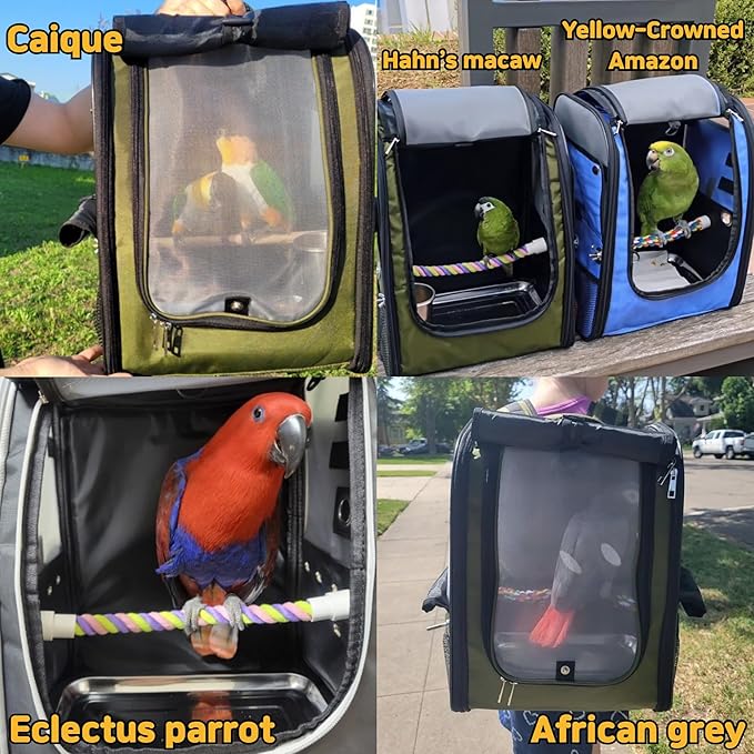 Birds Day Bird Carrier Backpack - Image 7