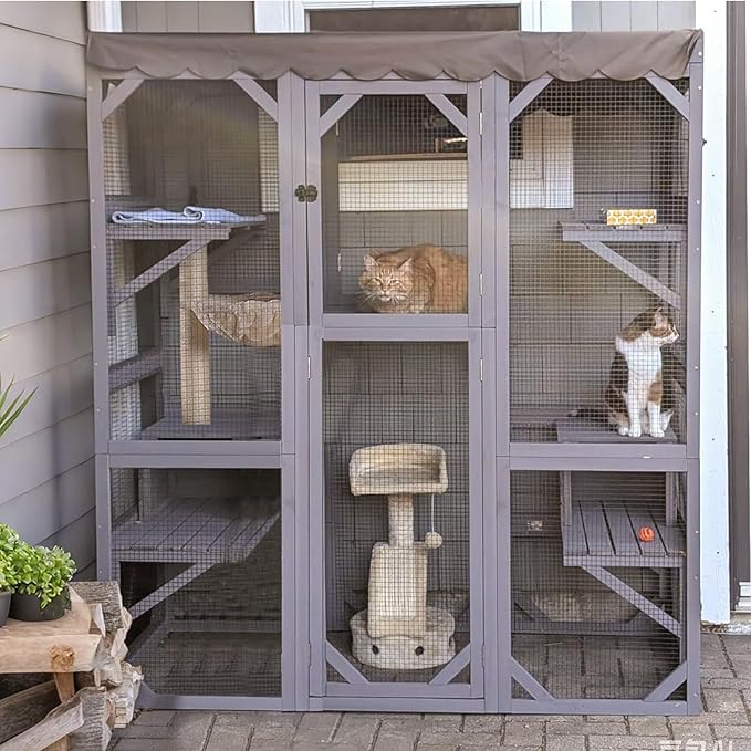 Window Catio Outdoor Cat Encolsure Large Cat House Walk in Kitty Shlter by Aivituvin