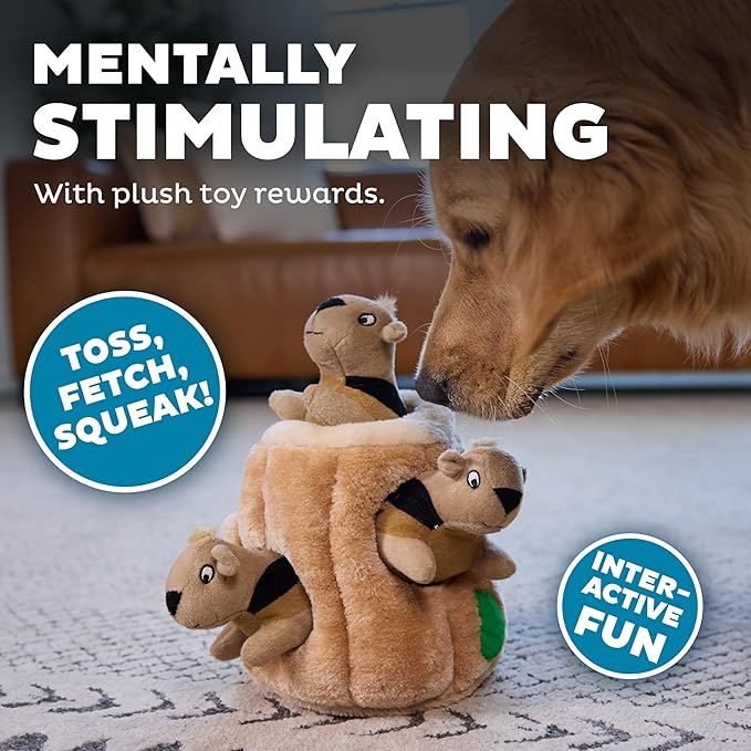 Outward Hound Hide-A-Squirrel Dog Toy – Interactive 2‑in‑1 Plush Puzzle - Image 5