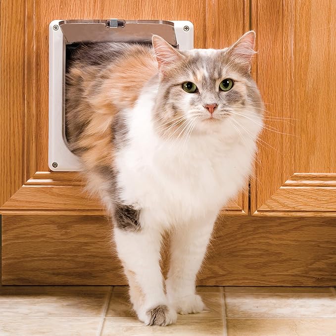 PetSafe Interior Cat Door – 4-Way Lock Option – - Image 2