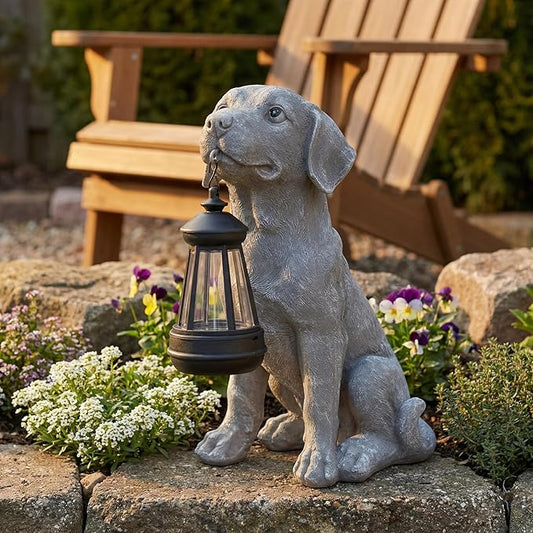 Dog Statue with Solar Lantern by HomeDecoration