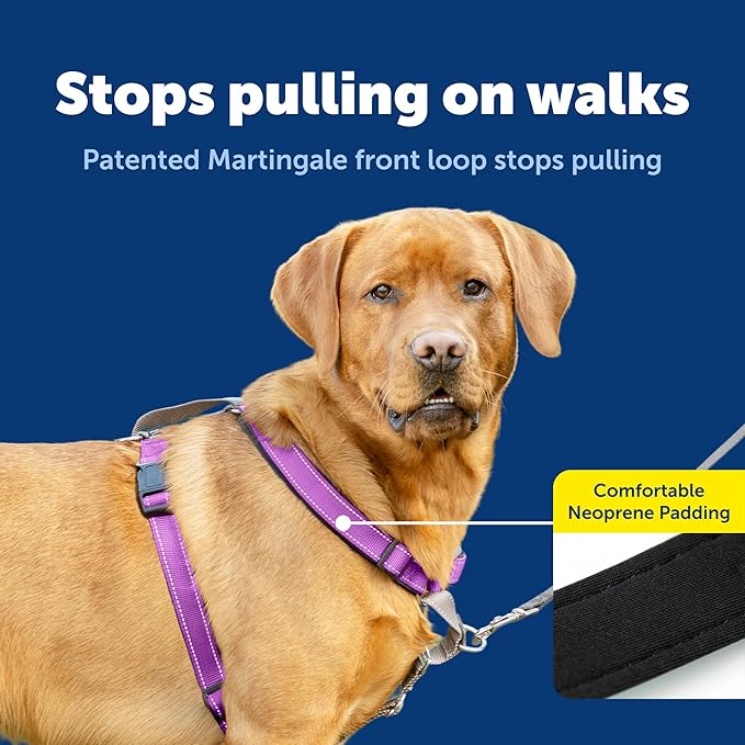 PetSafe 3 in 1 No-Pull Dog Harness - Image 3