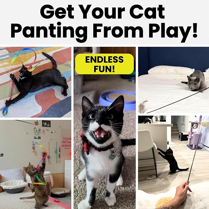 Forever Stick with Cat Toys and Strings Bundle - Image 6