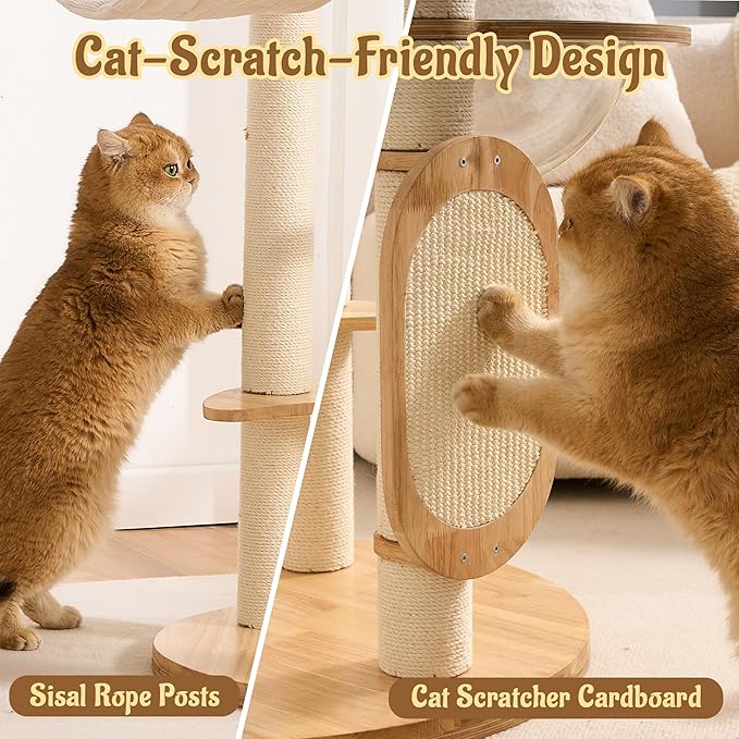 Modern Solid Wood Cat Tree for Indoor Cats Up to 15lbs, Large Cat Bed, Capsule - Image 7