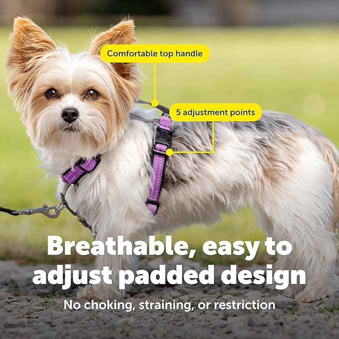 PetSafe 3 in 1 Dog Harness - Image 4