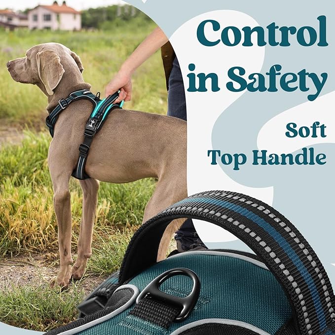 rabbitgoo Dog Harness Small Sized, No Pull Easy On & Off - Image 5