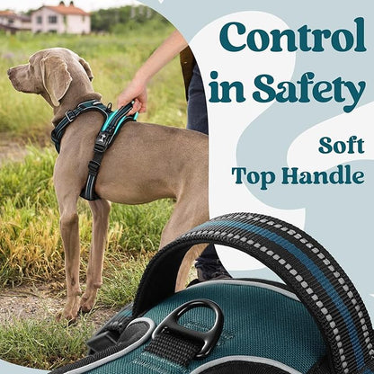 rabbitgoo Dog Harness Small Sized, No Pull Easy On & Off - Image 5