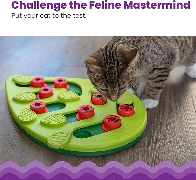 Catstages Nina Ottosson Buggin’ Out Puzzle & Play Cat Puzzle Feeder – - Image 2