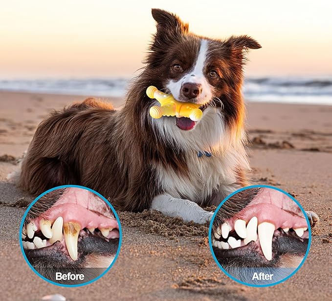 PETSTA Dog Chew Toys for Aggressive Chewers, Durable Dog Toys for Large Dogs - Image 5