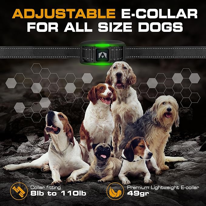 INVIROX 2026 Edition Dog Training Collar - Image 7