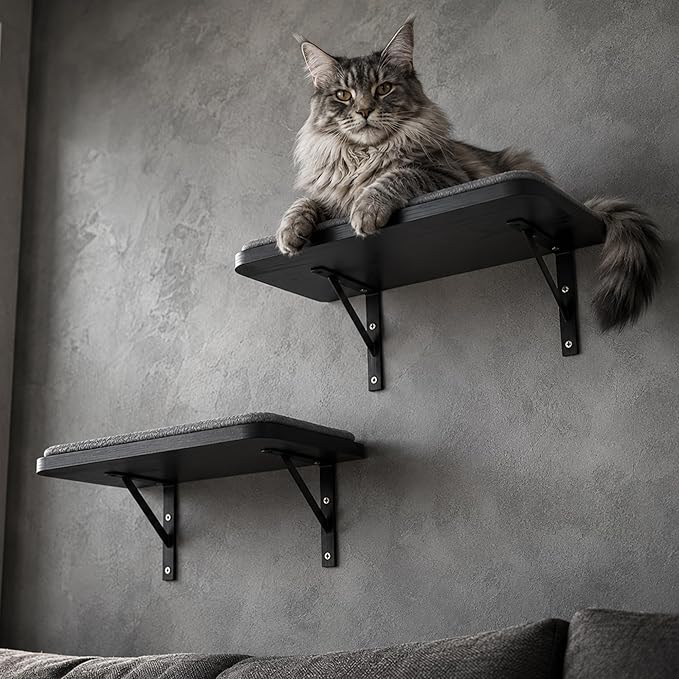 Cat Wall Shelves Set of 2, Wall-Mounted Space-Saving Climbing Bed, Lounging by PELUOMOZ