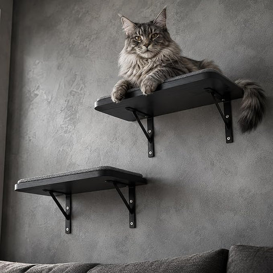 Cat Wall Shelves Set of 2, Wall-Mounted Space-Saving Climbing Bed, Lounging by PELUOMOZ