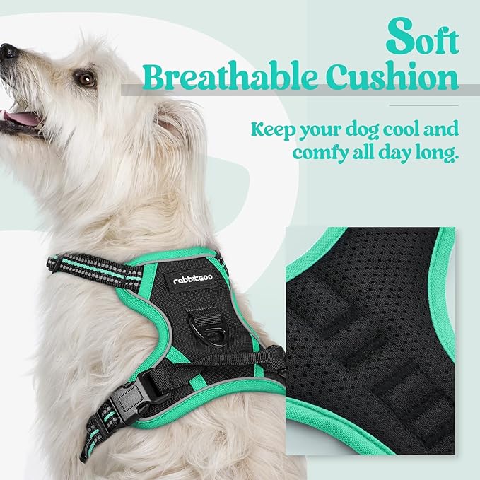 rabbitgoo Dog Harness No Pull - Image 2
