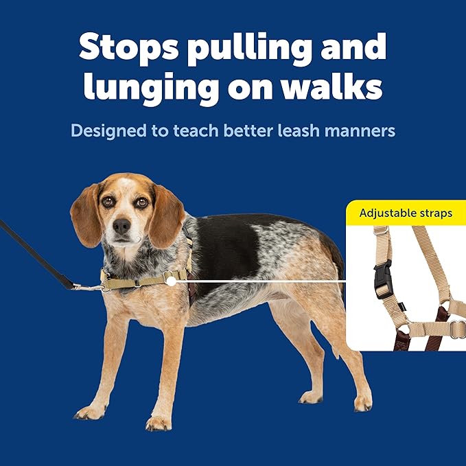 PetSafe Easy Walk No-Pull Dog Harness - Image 5