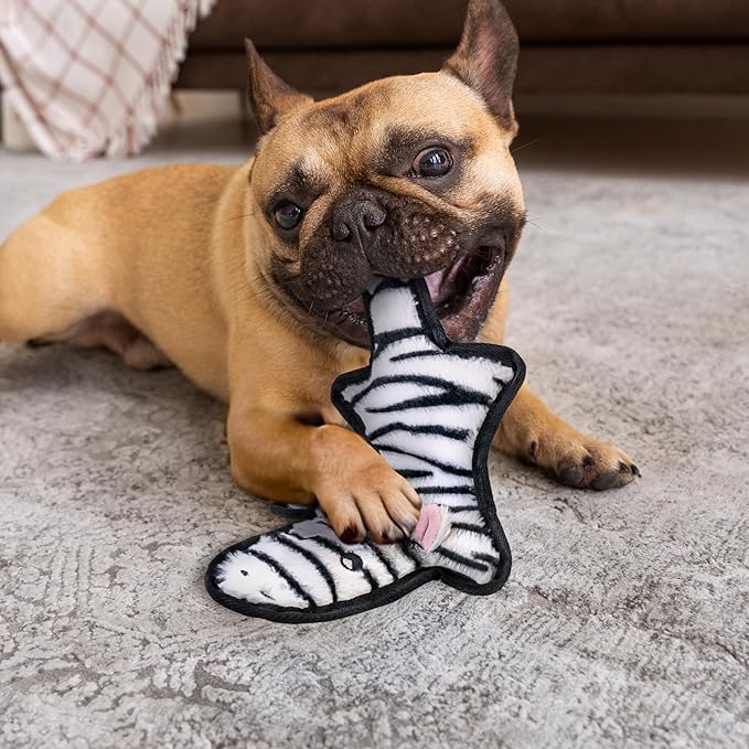 SHARLOVY No Stuffing Dog Toys Crinkle Squeaky, Long Lasting Chews - Image 5