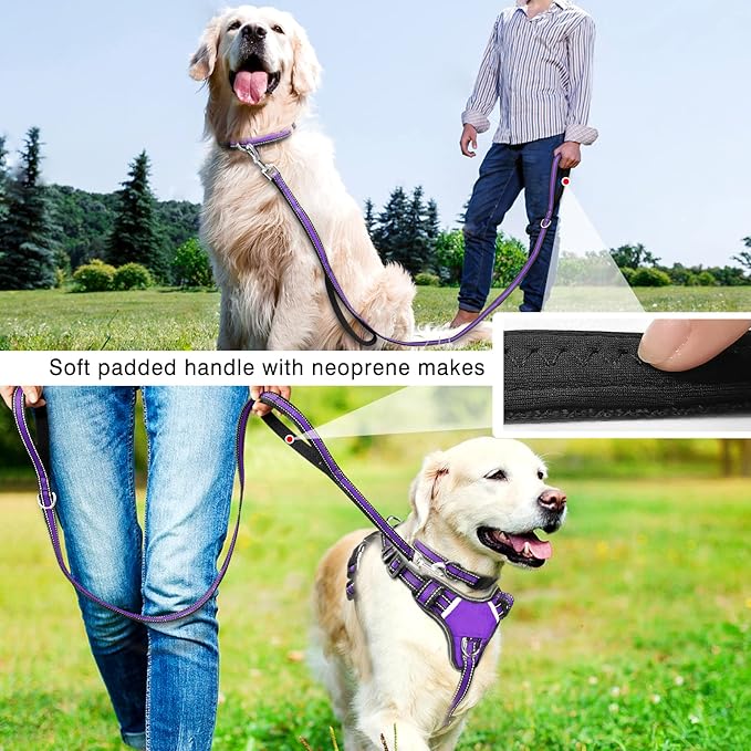 WINSEE Pet Harness Collar and Leash Set, All-in-one Reflective Dog Harness No - Image 5