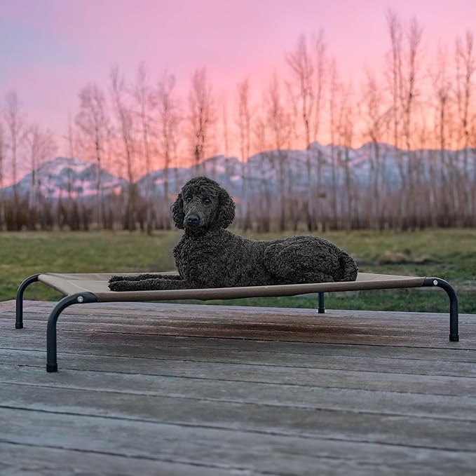 FurHaven Elevated Pet Cots - Image 2