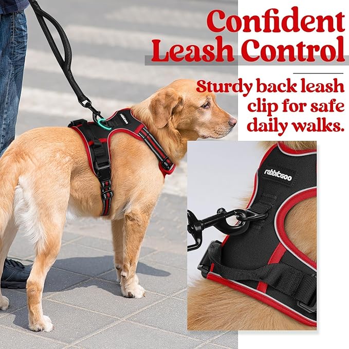 rabbitgoo Dog Harness No Pull - Image 5