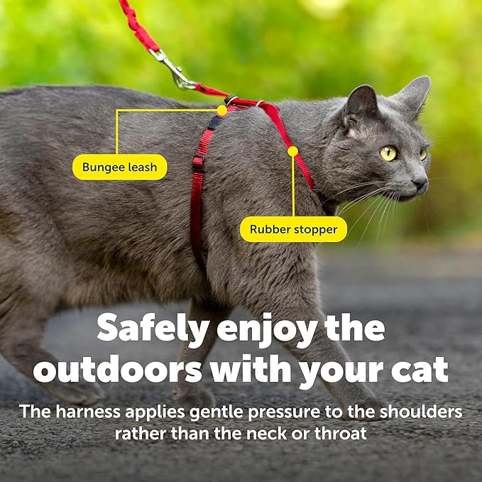 PetSafe Come with Me Kitty Harness and Bungee Leash Adjustable, Lightweight - Image 7