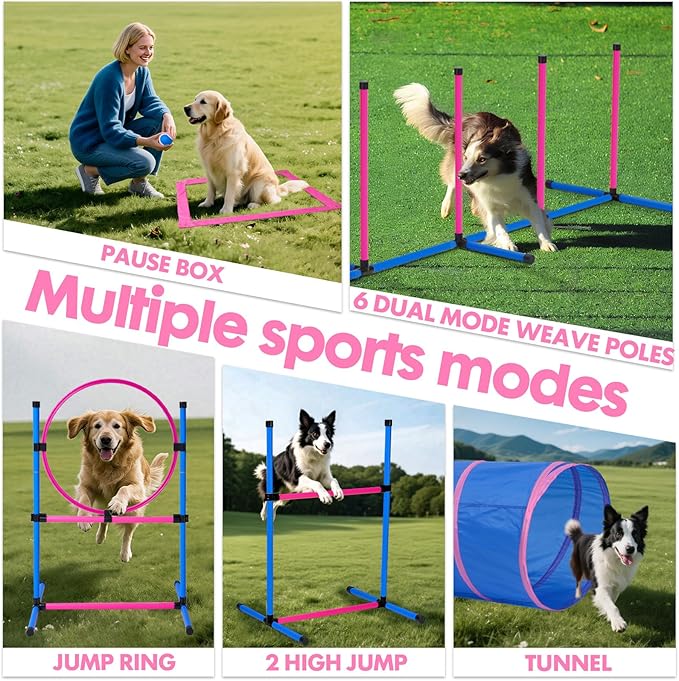 Dog Agility Course Backyard Set, Dog Agility Equipment, Pet obstacle Course - Image 5
