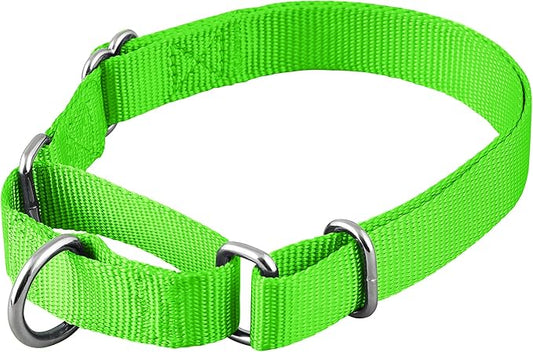Native Pup Martingale Dog Collar, Adjustable by NativePup