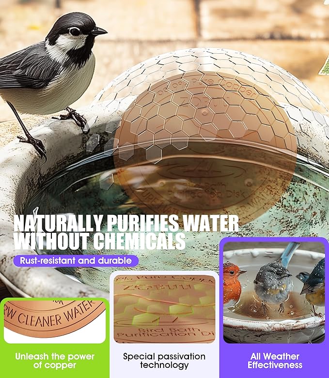 Bird Bath Copper Disk, 125mm Diameter, 0.6mm Gauge 99.9% Pure Copper Bird Bath - Image 4