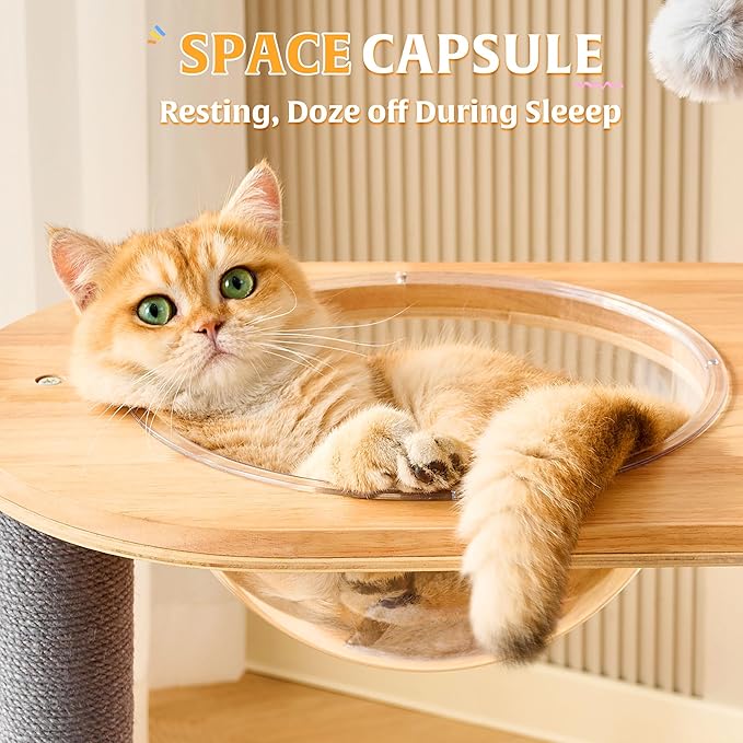 HITTITE Solid Wood Cat Tree Tower - Image 7
