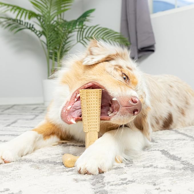 SPOT Bam-Bones Plus T-Bone Dog Chew Toy, Bamboo Fiber & Nylon, Chicken Flavor - Image 13
