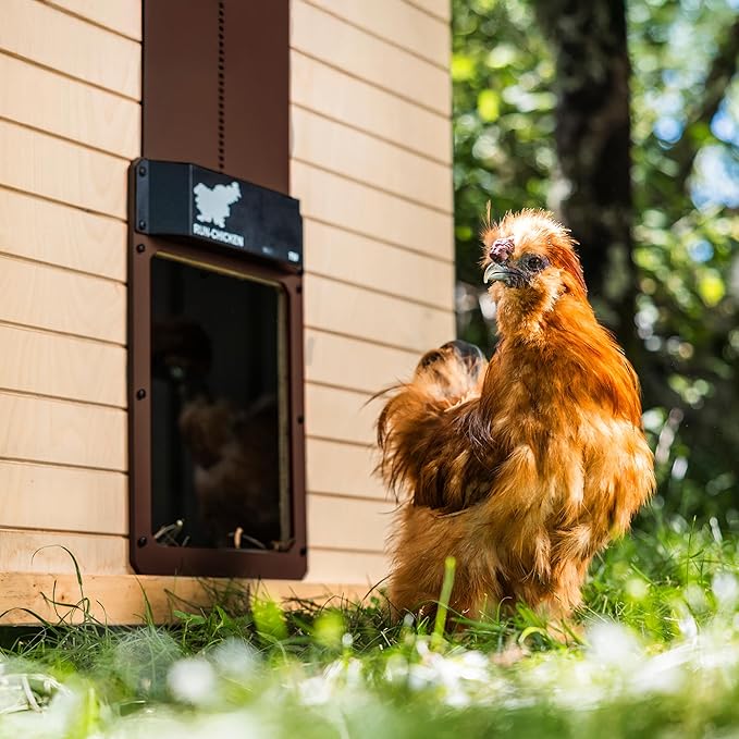 RUN-CHICKEN Door T50 – Automatic Chicken Coop Door Opener, Battery Powered & - Image 3