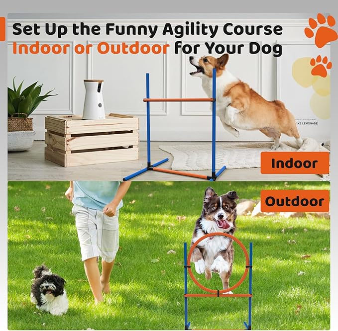 Sedeke 4 Sets Pets Agility Training Equipment - Image 5