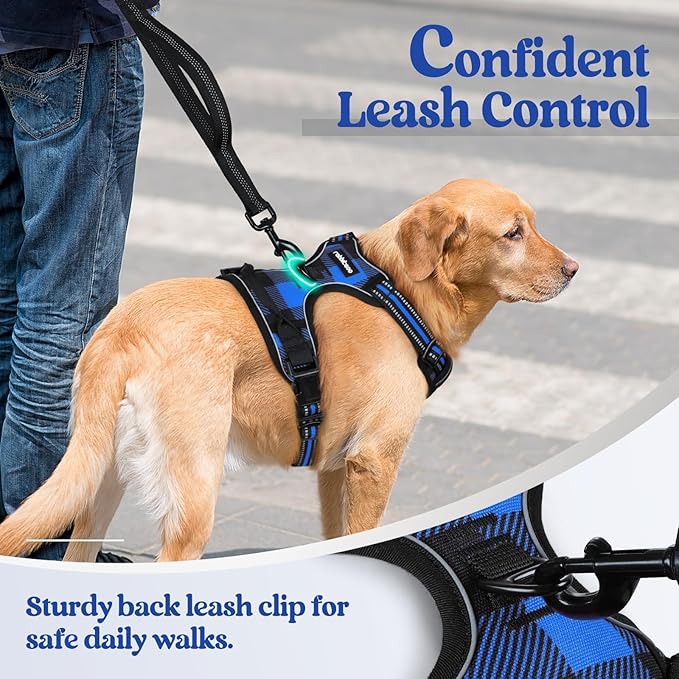 rabbitgoo Dog Harness No-Pull, Comfortable Padded Plaid Harness - Image 6