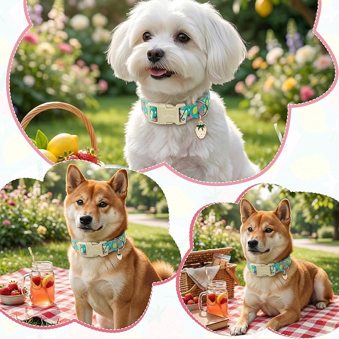 Cute Summer Dog Collar with Strawberry Lemon Pattern, Soft Cotton Girl Dog - Image 6