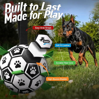 QDAN 10 Inch Gaint Dog Soccer Ball - Image 6