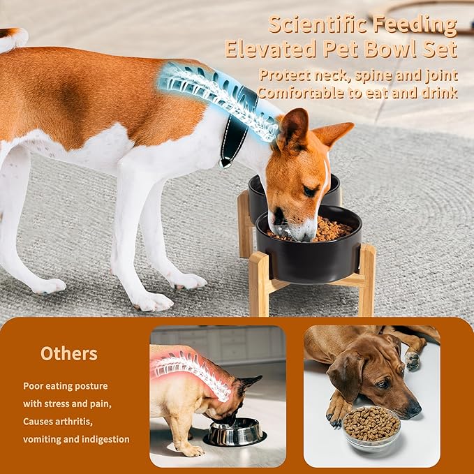 Elevated Ceramic Dog Bowl Set - Image 4