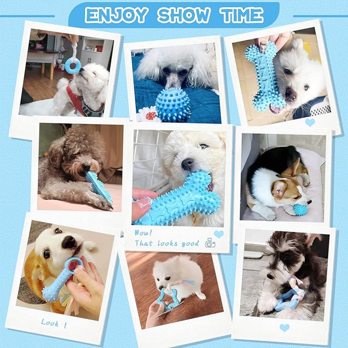 Petcare 6 Pack Puppy Chew Toys - Image 2