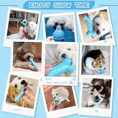 Petcare 6 Pack Puppy Chew Toys - Image 2