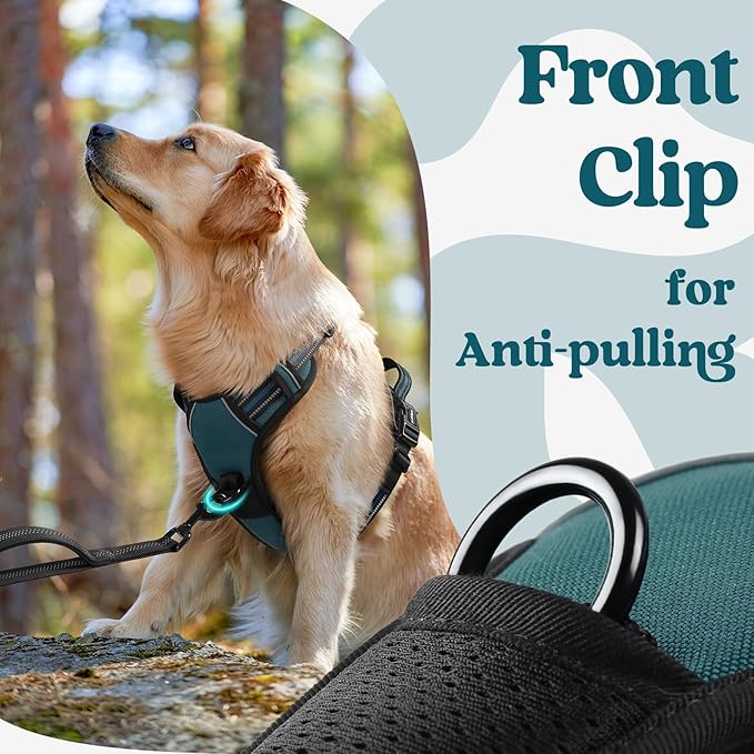 rabbitgoo Dog Harness Medium Sized, No Pull Easy On & Off - Image 7
