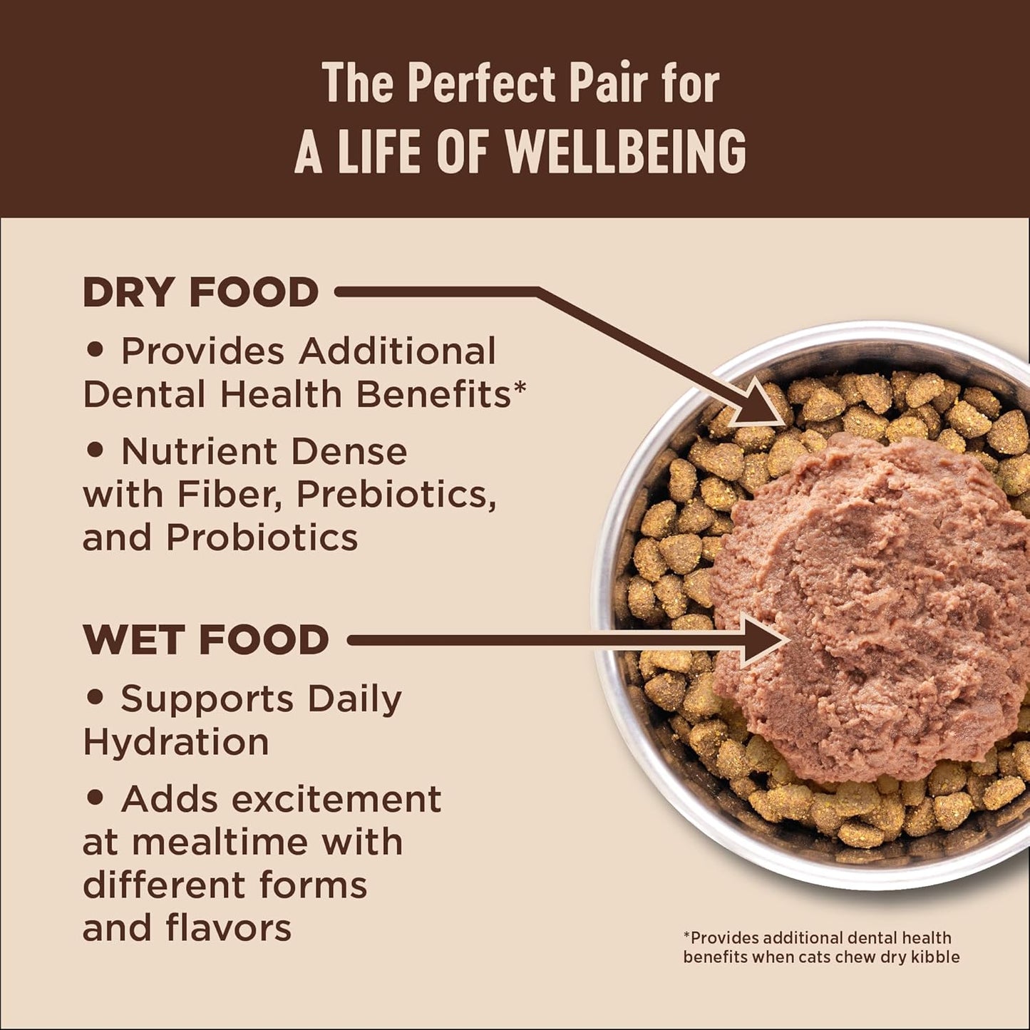 Wellness CORE+ Digestive Health Pate Adult Wet Cat Food, Natural, Protein-Rich, Grain Free, 3 Ounce, 12 Pack (Salmon & Whitefish Variety Pack)