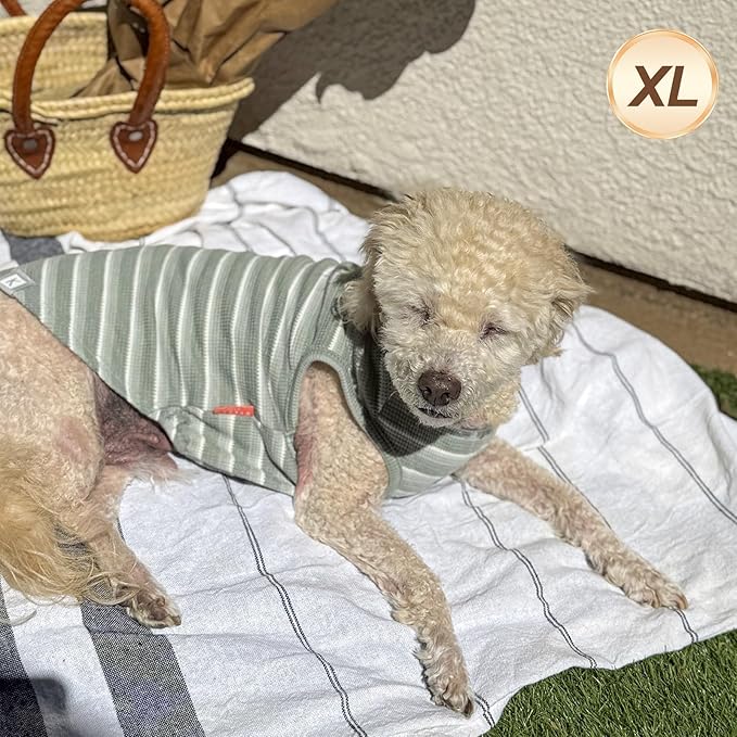 KYEESE 2Pack Waffle Dog Shirts, Lightweight Sleeveless Dog T Shirts - Image 3