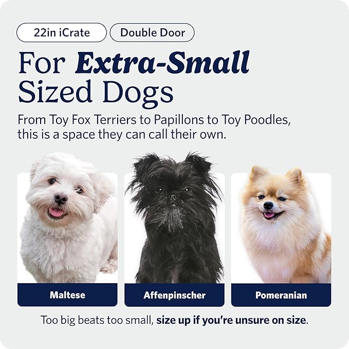 MidWest Homes for Pets 22-Inch iCrate for Extra-Small Breeds, Double Door - Image 2