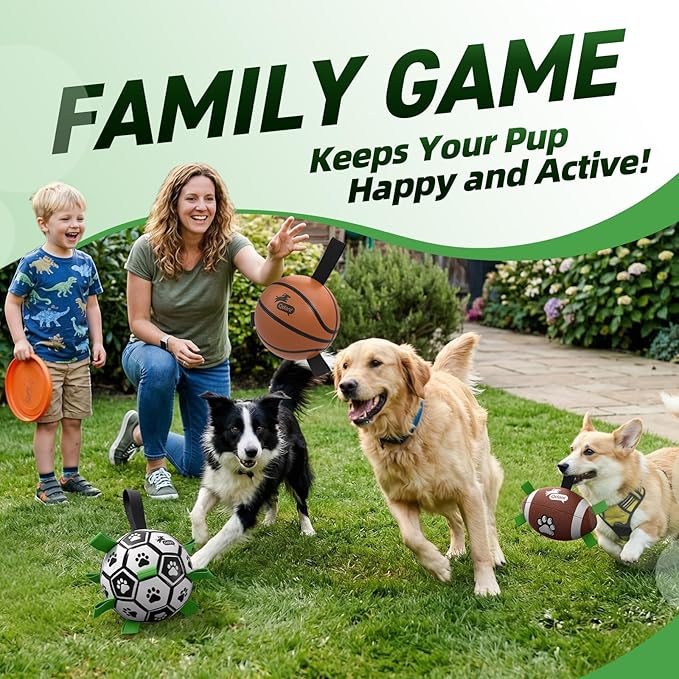 QDAN Dog Soccer Ball Football Basketball Set - Image 3