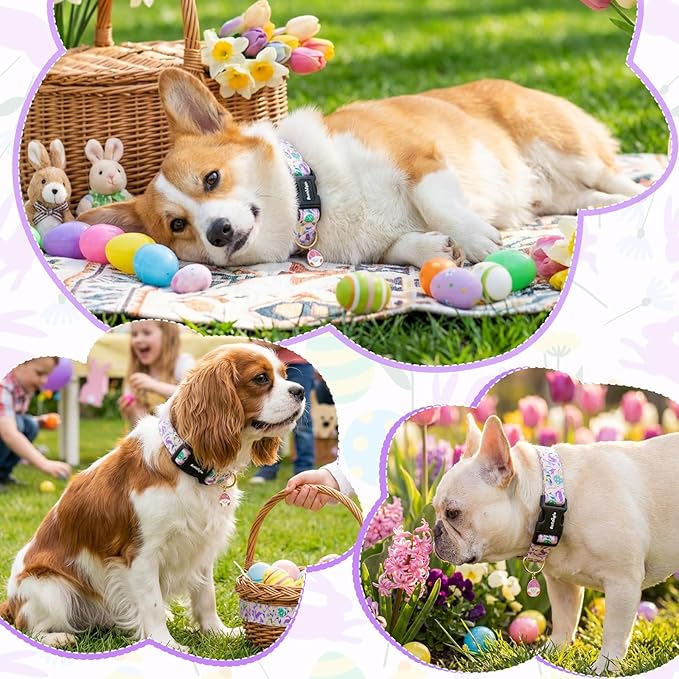Easter Dog Collar, Spring Easter Egg Print Dog Collar - Image 5