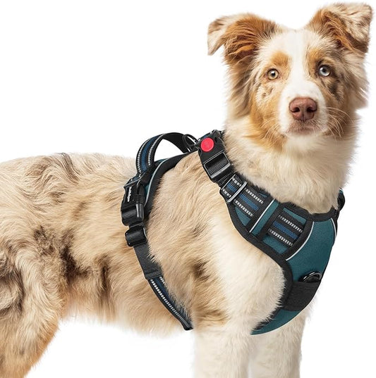 rabbitgoo Dog Harness Medium Sized, No Pull Easy On & Off by rabbitgoo