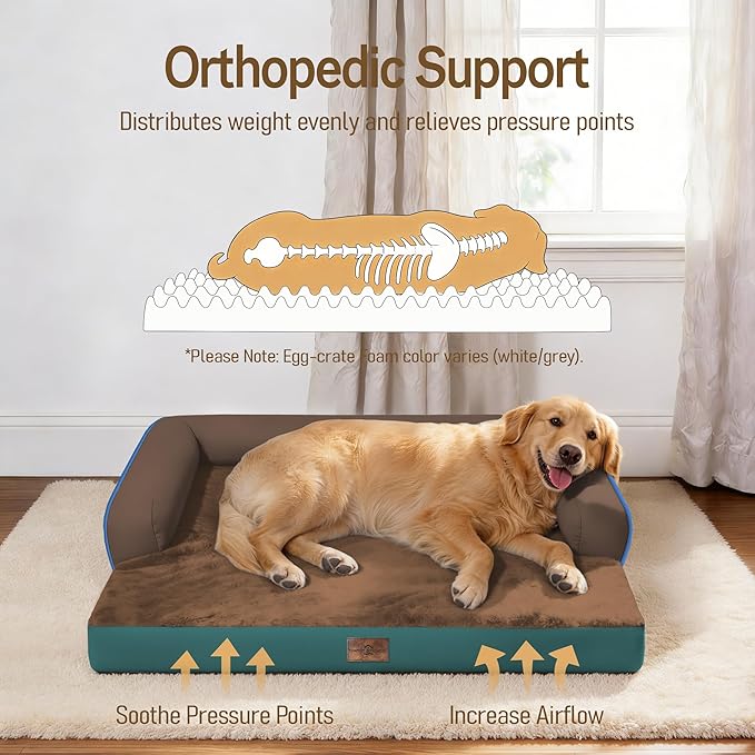 Comfort Expression Dog Bed Large Size Dog - Image 2