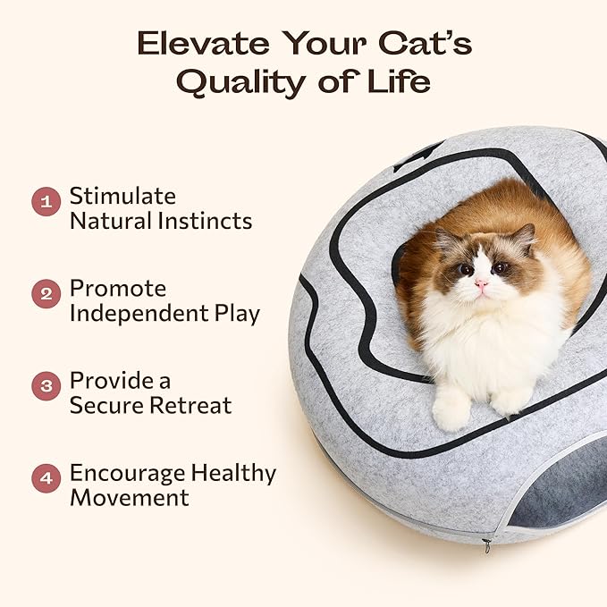 Peekaboo Cat Cave Donut - Image 8