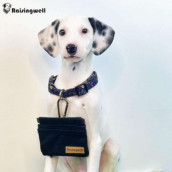 Raisingwell Dog Treat Pouch, Cotton Fabric, Hand Free Dog Walking Bag - Image 6