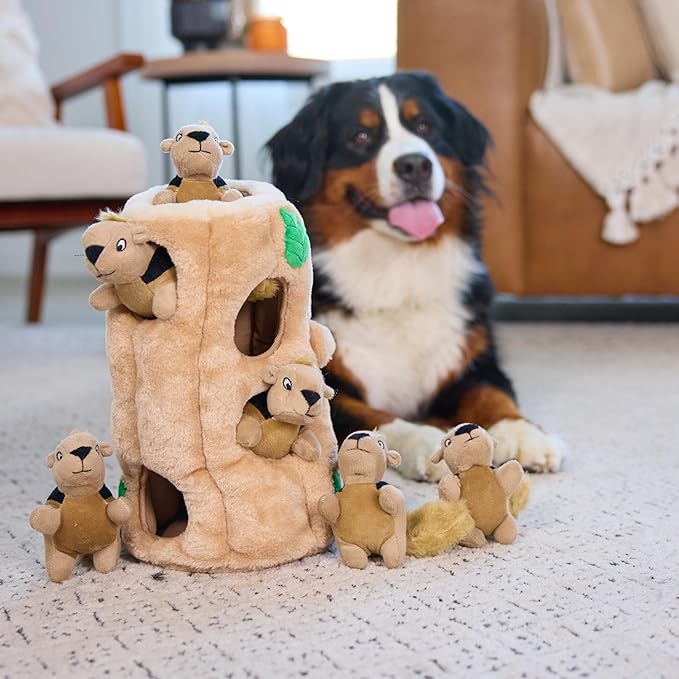 Outward Hound Hide-A-Squirrel Dog Toy – Interactive 2‑in‑1 Plush Puzzle - Image 6