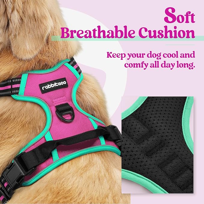 rabbitgoo Dog Harness No Pull - Image 2