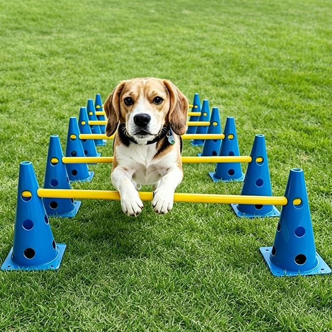 12 Sets Dog Agility Hurdle Cone Set, 3 Height Adjustable Backyard Agility - Image 2