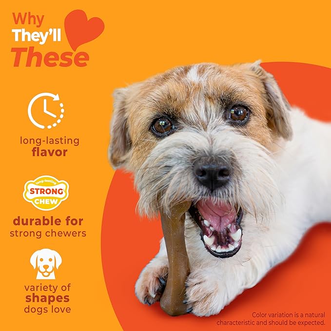 Nylabone Strong Chew Dog Toy 4-Pack Made - Image 3
